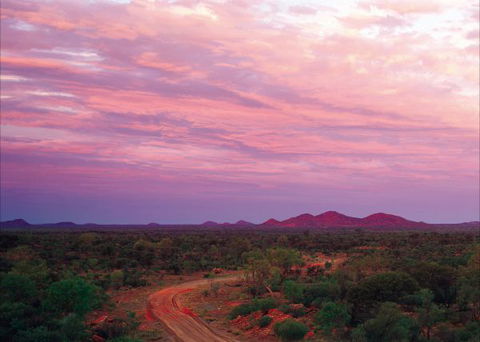 Bond Springs Outback Retreat - C Tourism 3