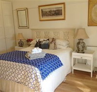 Pelicans - C Tourism