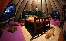 Aranyani Bison Adventure Tourist Park - C Tourism 0