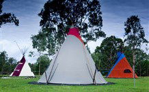 Aranyani Bison Adventure Tourist Park - C Tourism 1