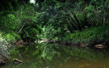 Aranyani Bison Adventure Tourist Park - C Tourism 3