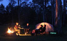 Aranyani Bison Adventure Tourist Park - C Tourism 2