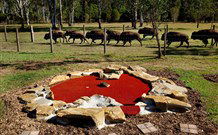 Aranyani Bison Adventure Tourist Park - C Tourism 5