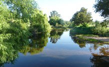 Bendemeer Tourist Park - C Tourism 5