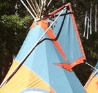 Central Coast Eco Tours - C Tourism