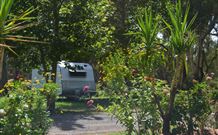 Darlington Point Riverside Caravan Park - C Tourism 1