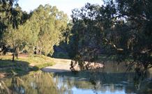 Darlington Point Riverside Caravan Park - C Tourism 2