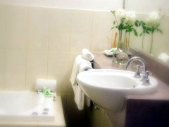 Saltbush Motor Inn - C Tourism 5