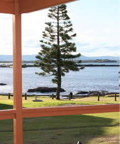Shellharbour Beachside Tourist Park - C Tourism 3