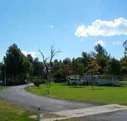Wairo Beach Tourist Park - C Tourism