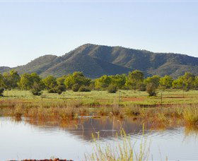 Old Ambalindum Homestead - C Tourism 3