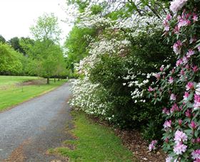 Laurel Hill Forest Lodge - C Tourism 2