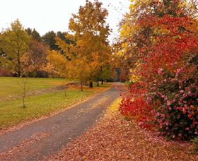 Laurel Hill Forest Lodge - C Tourism 4