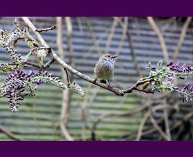MossGrove Bed And Breakfast - C Tourism 2