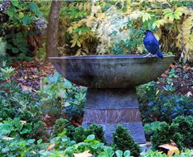 MossGrove Bed And Breakfast - C Tourism 4