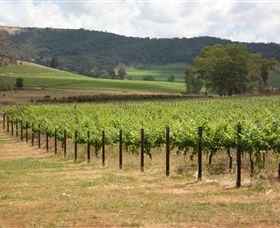 Acacia Park Farm House - C Tourism 7