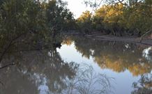 Four Mile Camping Reserve - C Tourism 0