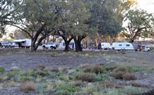 Four Mile Camping Reserve - C Tourism 1