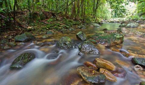 Iron Pot Creek Campground - C Tourism 2