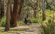 Koreelah Creek Campground - thumb 0