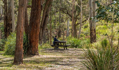 Koreelah Creek Campground - C Tourism 0
