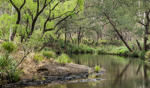 Koreelah Creek Campground - C Tourism 1