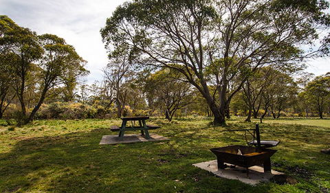 Little Murray Campground - C Tourism 0