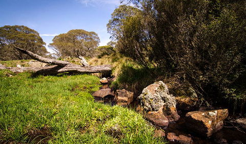 Little Murray Campground - C Tourism 1