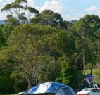 Milton Valley Holiday Park - C Tourism