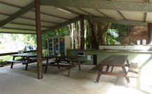 Mt Warning Rainforest Park - C Tourism 4