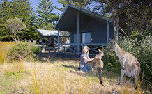 Murramarang Beachfront Nature Resort - C Tourism 10