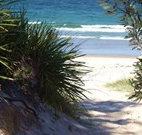 Myola Tourist Resort Caravan Park - C Tourism