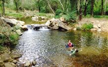 Nymboida Canoe Centre - C Tourism 2