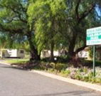 Spicer Park Caravan Park - C Tourism