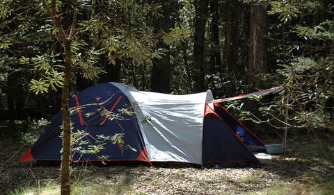Thungutti Campground - C Tourism 0