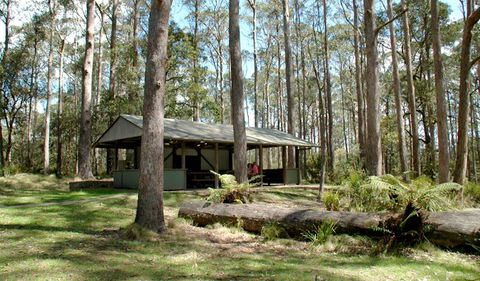 Thungutti Campground - C Tourism 1