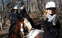 JE Resort (Jindabyne Equestrian Resort) - C Tourism 1