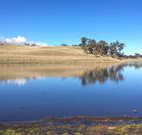 Bombala Maneroo Motel - Bombala - C Tourism