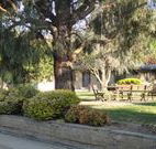 Hamilton Hume Motor Inn - Yass - C Tourism