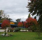 Holbrook Settlers Motel - Holbrook - C Tourism