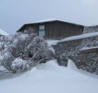 Knockshannoch Ski Lodge - Charlotte Pass - C Tourism
