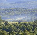 Nowendoc Country Motel - Nowendoc - C Tourism