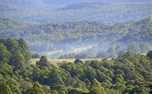 Nowendoc Country Motel - Nowendoc - C Tourism 0