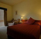 Seaton Arms Motor Inn - Albury - C Tourism