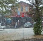 Snowgoose Hotel Motel - Adaminaby - C Tourism
