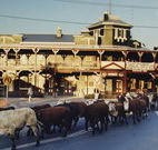 The Commercial Hotel Coonamble - Coonamble - C Tourism