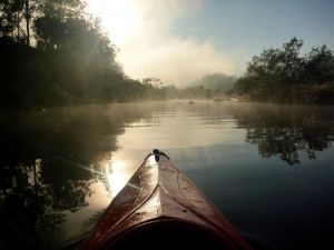 Nymboida Canoe Centre - C Tourism 4
