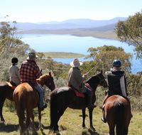 Reynella Homestead and Horseback Rides - C Tourism