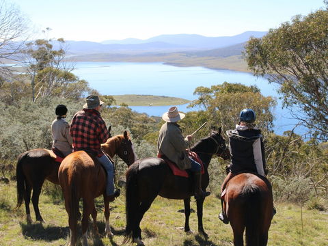 Reynella Homestead And Horseback Rides - C Tourism 0