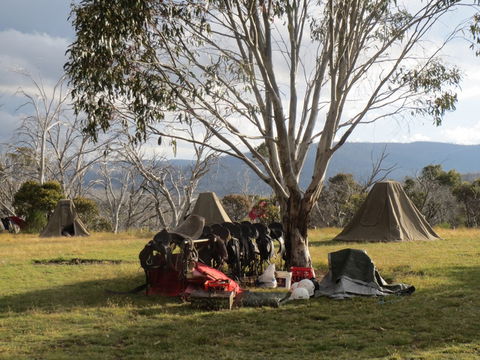 Reynella Homestead And Horseback Rides - C Tourism 1